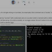 Developer S Tutorials Perl 04 Array Variables And Scalar Values