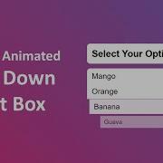 Custom Animated Select Menu Using HTML CSS JavaScript