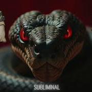GET YOUR MONEY BACK FORCED USE WITH CAUTION Subliminal Affirmations Booster