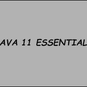 Java 11 Essentials Self Assessment