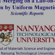 Droplet Merging On A Lab On A Chip Platform By Uniform Magnetic Fields