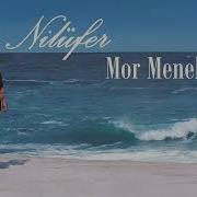 Nilüfer Mor Menekşe Esmer Günler