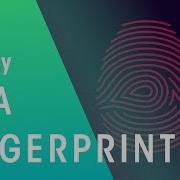 DNA Fingerprinting Genetics Biology FuseSchool
