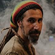System Of A Down Chop Suey Live Reggae AI Cover
