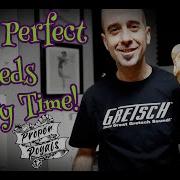 How To Get Perfect Ball Python Sheds Every Time