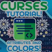 Python Curses Tutorial 2 Attributes And Colors
