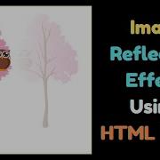 Add Image Reflection Effect Using Html CSS