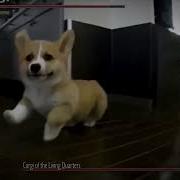 Dog Canter Dog Run Animation Reference 4