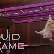 Squid Game Vs Hamsterious All Amazing Challenge