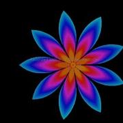 Make A Cool Flower Design Using Python Turtle