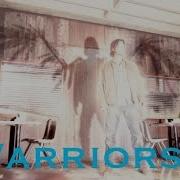 Multifandom Warriors