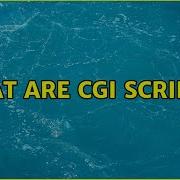 What Are CGI Scripts 2 Solutions