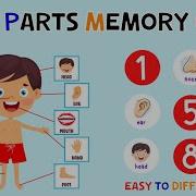 Body Parts Memory Game ESL Games 4K