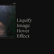 Liquid Distortion Image Hover Transition Effect Using React Js Three Js And GSAP Hover Effect Js