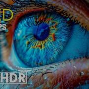 Mind Blowing OLED Dolby Vision 4K HDR 240 Fps