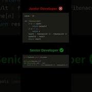 Junior Vs Senior Developer In Python Programming Python Javascript Coding Webdesign Shorts