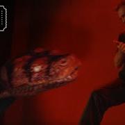 Boa Vs Python It S A Snake Eat Snake World