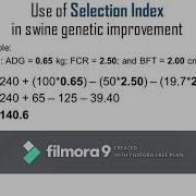 Genetic Improvement And Animal Performance
