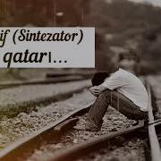 Ilqar Yusif Sintezator Sevgi Qatarı