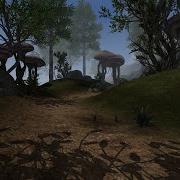 OpenMW 1440p 2020 Ultra Modded Normal Maps The Grove Of Ben Abi