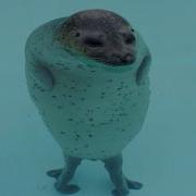 Unexplainable Seal Moments