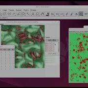 用fiji Image的Trainable Weka Segmentation分類氣孔