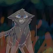 Cradles Ashfur MAP Part 6