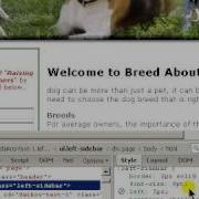 Firebug For Firefox Demo