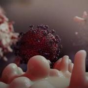 What Is Human Immunodeficiency Virus HIV