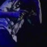 Mass Hysteria Contraddiction