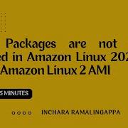 Some Packages Are Not Getting Installed In Amazon Linux 2023 AMI So Use Amazon Linux 2 AMI Instance