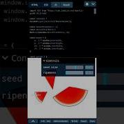 Watermelon With Code Html Css Coding Codepen Javascript Vuejs