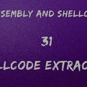 X86 Assembly And Shellcoding 31 Shellcode Extraction