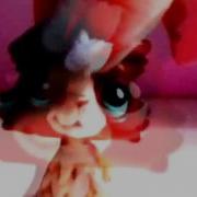 Titanium LPS MV