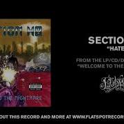 Section H8 Hate