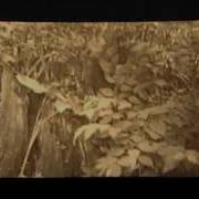 Seifritz On Protoplasm Full Film
