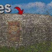 I Ruined The Server With 10 000 Bees
