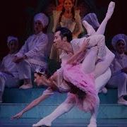 Queensland Ballet S The Nutcracker 2015