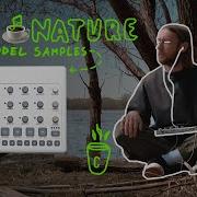 SYNTHWAVE JAM NATURE With Elektron Model Samples