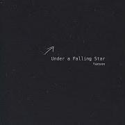 Under A Falling Star