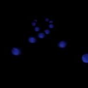 AMAZING Pendulum Wave Effect Awesome Performance
