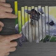 17 Amazing Experiments And Tricks Compilation