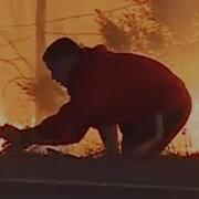 Man Saves Rabbit From Fire In California The Dodo