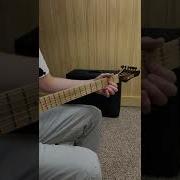 Sometimes I End My Shred Licks With A Nice Blues Run Shorts