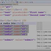 Multipule Text Box And Radio Button Using For Loop One Code In Php And Html