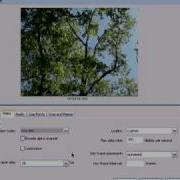 Import Export Flv Video Flash Tutorial
