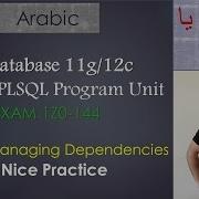 117 125 Oracle PLSQL Managing Dependencies Nice Practice