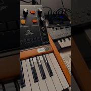 Help My Poly D Is Not In Tune How Do I Fix It