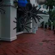 Trapcode Form 2 Trapcode Particular 2 After Effects Halloween Demo Reel 2011