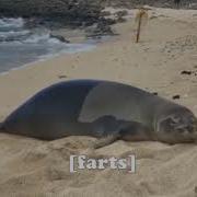 Compilation Of T H I C C Seals